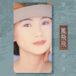 鳳飛飛 / 浮世情懷  ( 限量版水晶膠 LP )