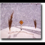 來來去去 (CD)<br>UP AND DOWN<br>米爾洛‧列飛夫／鋼琴；戴夫‧霍蘭德／Double Bass　