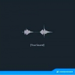 森海塞爾鑑聽盤 ─ 真實的聲音 ( 180 克 LP )<br>Sennheiser -- True Sound