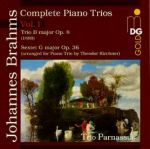 布拉姆斯：鋼琴三重奏第一集 ( CD )<br>Brahms : Piano Trios Vol. 1