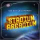 嗆辣紅椒：星戰競技場（180 克 4LPs）<br> Red Hot Chili Peppers : Stadium Arcadium